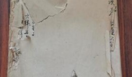 临汾雅迪店爆料视频最新,揭秘电动车行业新动态